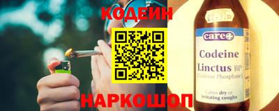 индика Вышний Волочёк