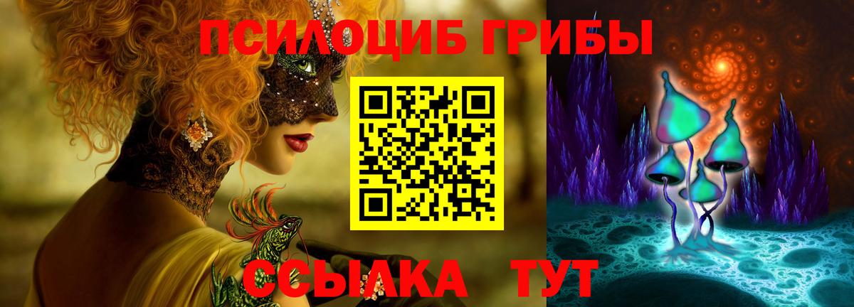 Дзержинский  Псилоцибиновые грибы Psilocybine cubensis  купить наркоту  Вход с VPN 